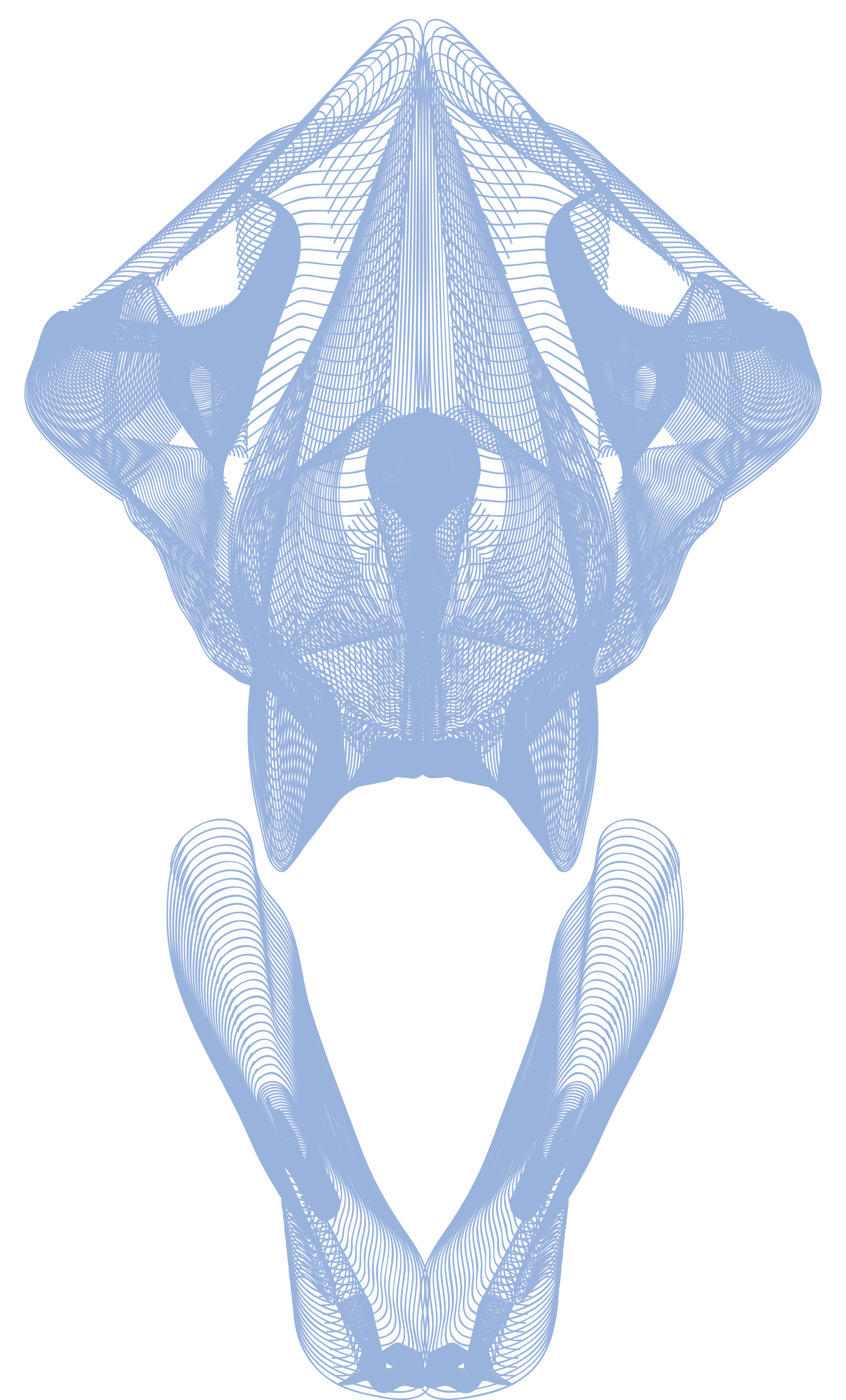Skull V-Ray, top and bottom jaw