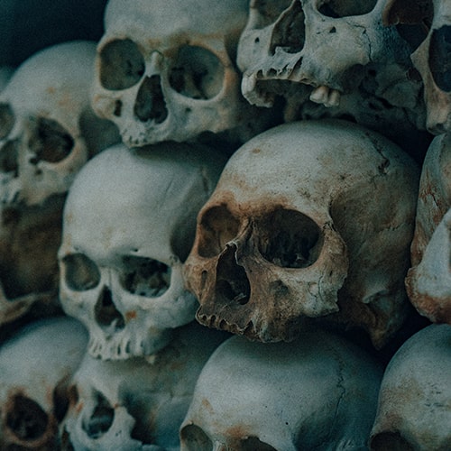 Image of human skulls stacked on top of one another in three rows  - Daniel Bernard on Unsplash