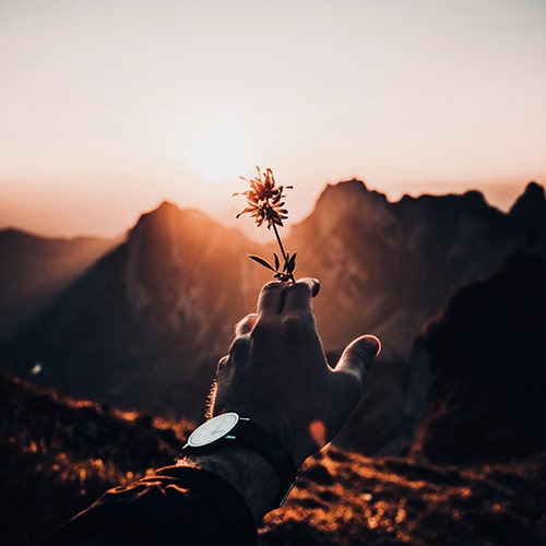 Photo of a man holding out his arm, holding an Edelweiss flower between his two fingers against a sunset, mountainous backdrop - Ayko Neil Kehl on Unsplash