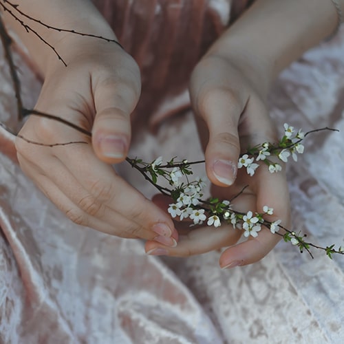 Photo of hands on a lap holding flowers - S L on Unsplash
