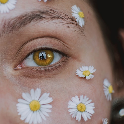 Close-up shot of a woman's face, focused on her eye area, with flowers on her face - fotografierende on Unsplash (edited/modified by me)