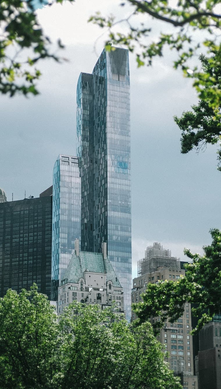 Faraway shot of tall buildings surrounding (what appears to be) a skyscraper in the background, with green-leafed branches in the foreground (Central Park, New York City, New York, USA)